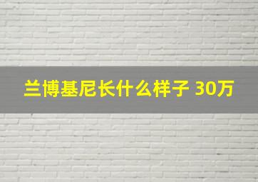 兰博基尼长什么样子 30万